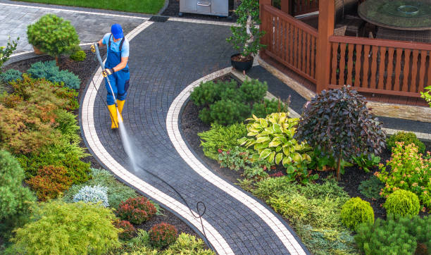 Best Power Washing Near Me  in New London, OH